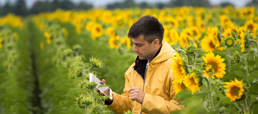 Chatbots for Farmers