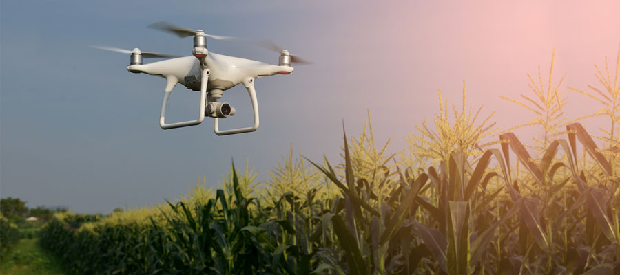 Field Inspection Using Drones